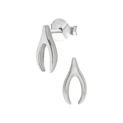 Gift box, oorstekers in flesje, wishbone