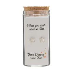 Gift box, oorstekers in flesje, sterren