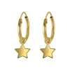 Gold plated oorringen met ster, hanger