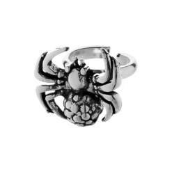 Zilveren ear cuff, spin