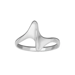 Zilveren ring, punt