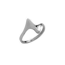 Zilveren ring, punt